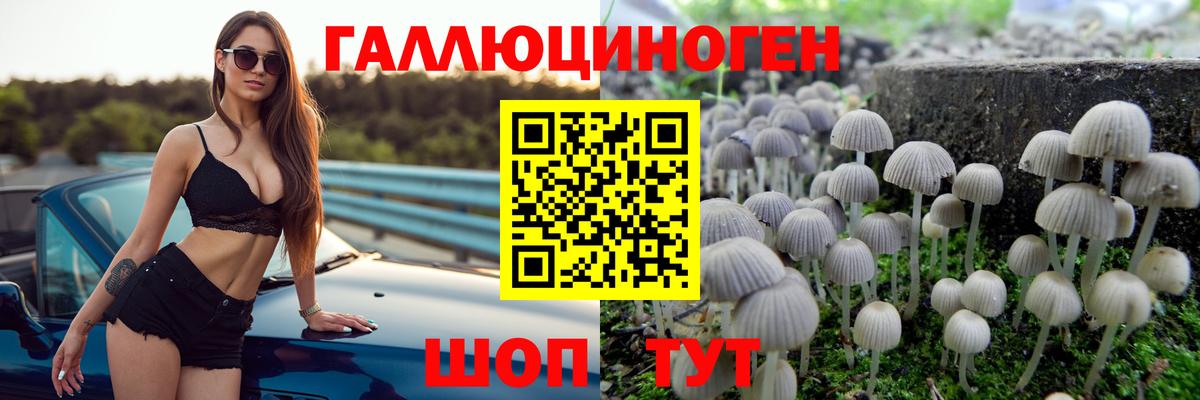 Галлюциногенные грибы прущие грибы Белгород