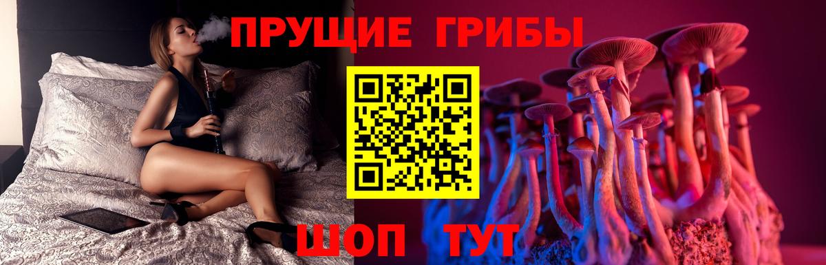 Псилоцибиновые грибы MAGIC MUSHROOMS  Псилоцибиновые грибы GOLDEN TEACHER  Белгород  Вход с VPN 